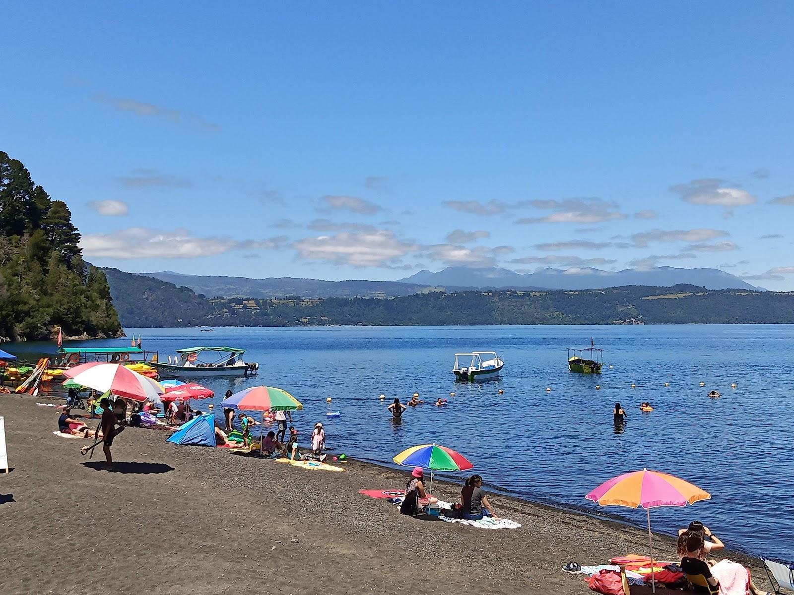 Sandee Playa Grande Lican Ray Photo