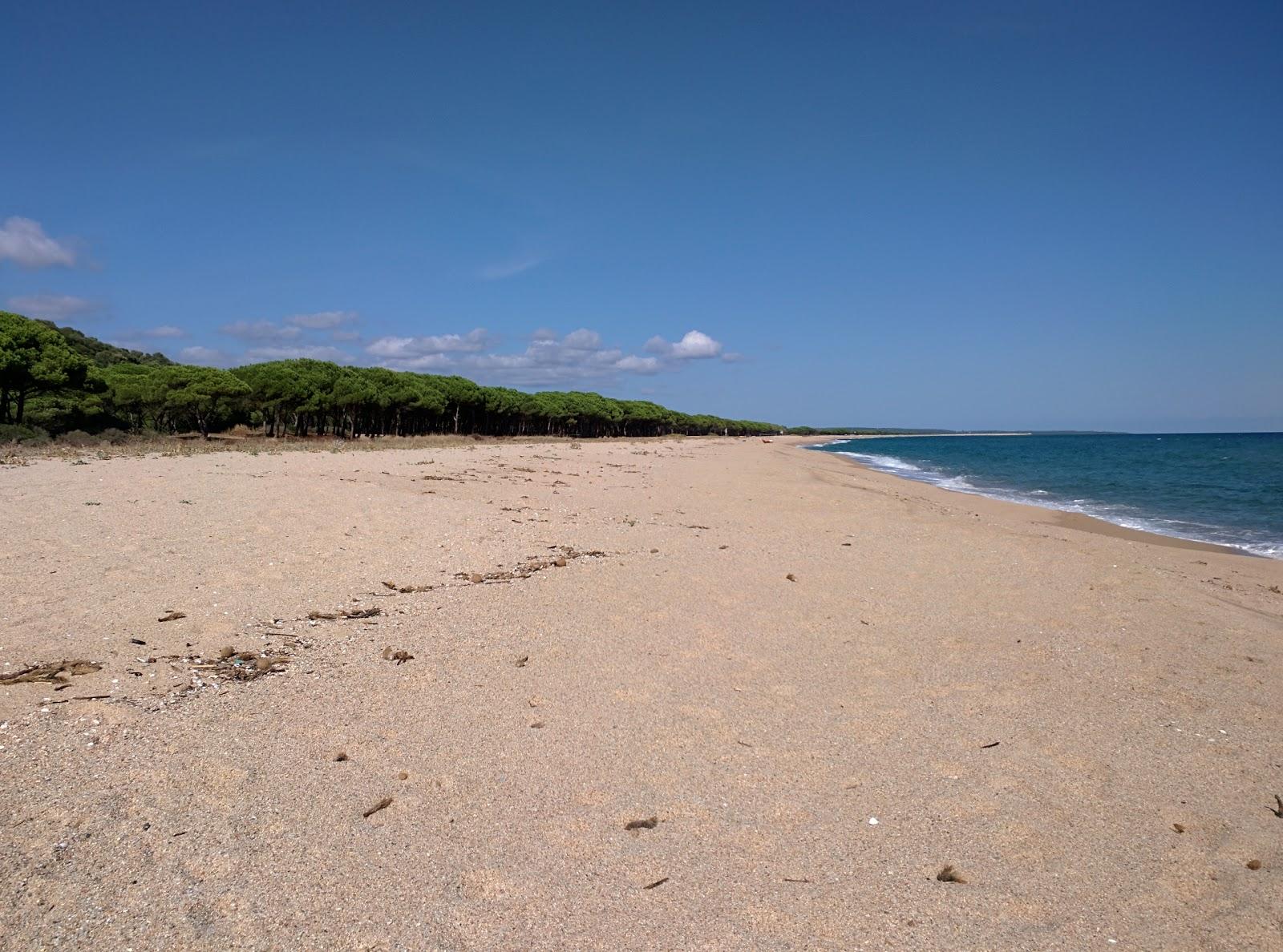 Sandee Spiaggia Osalla Di Orosei
