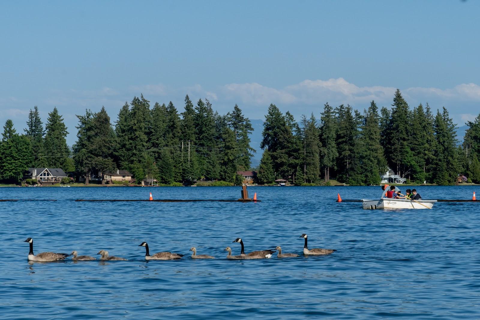 Sandee - Beach Lake Tapps