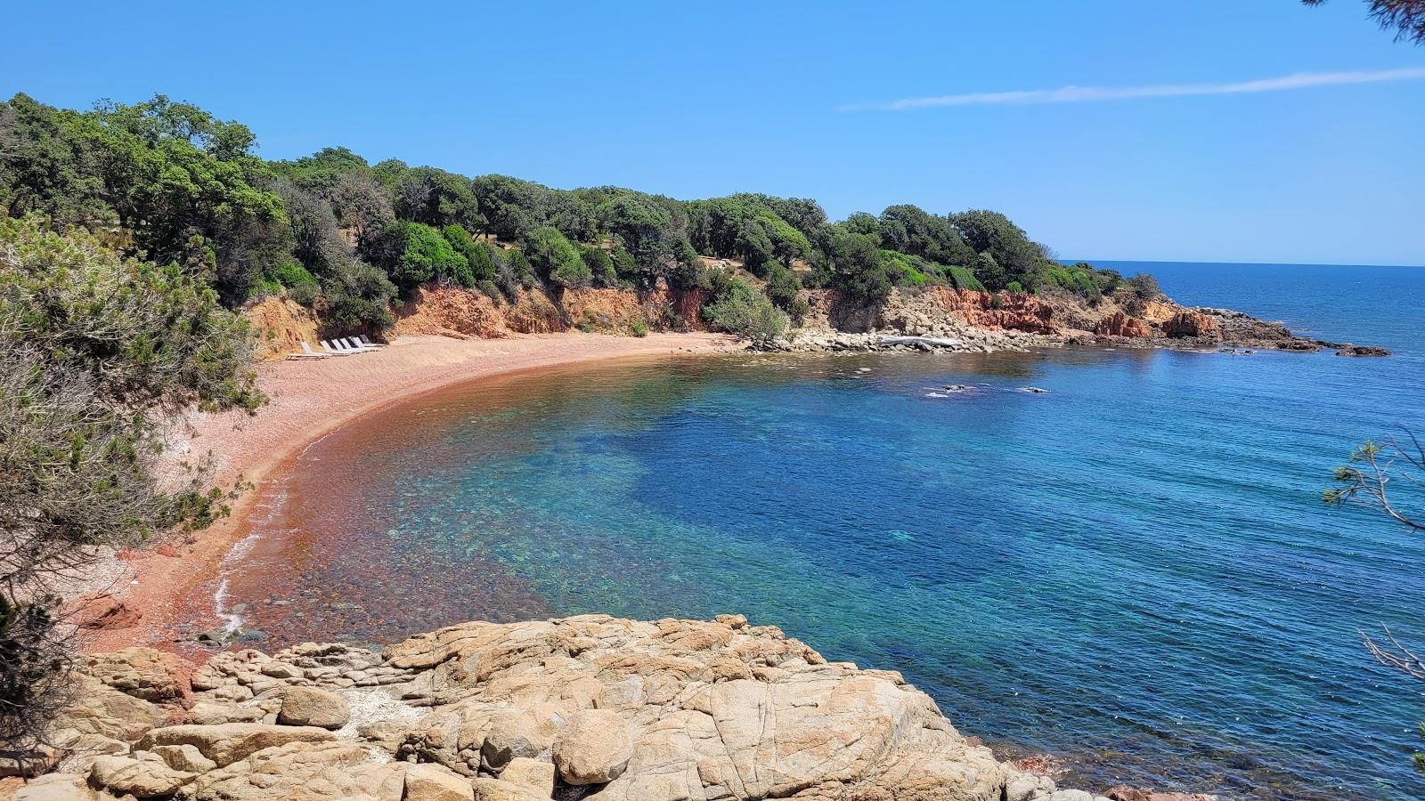 Sandee Plage De La Punta San Ciprianu Photo