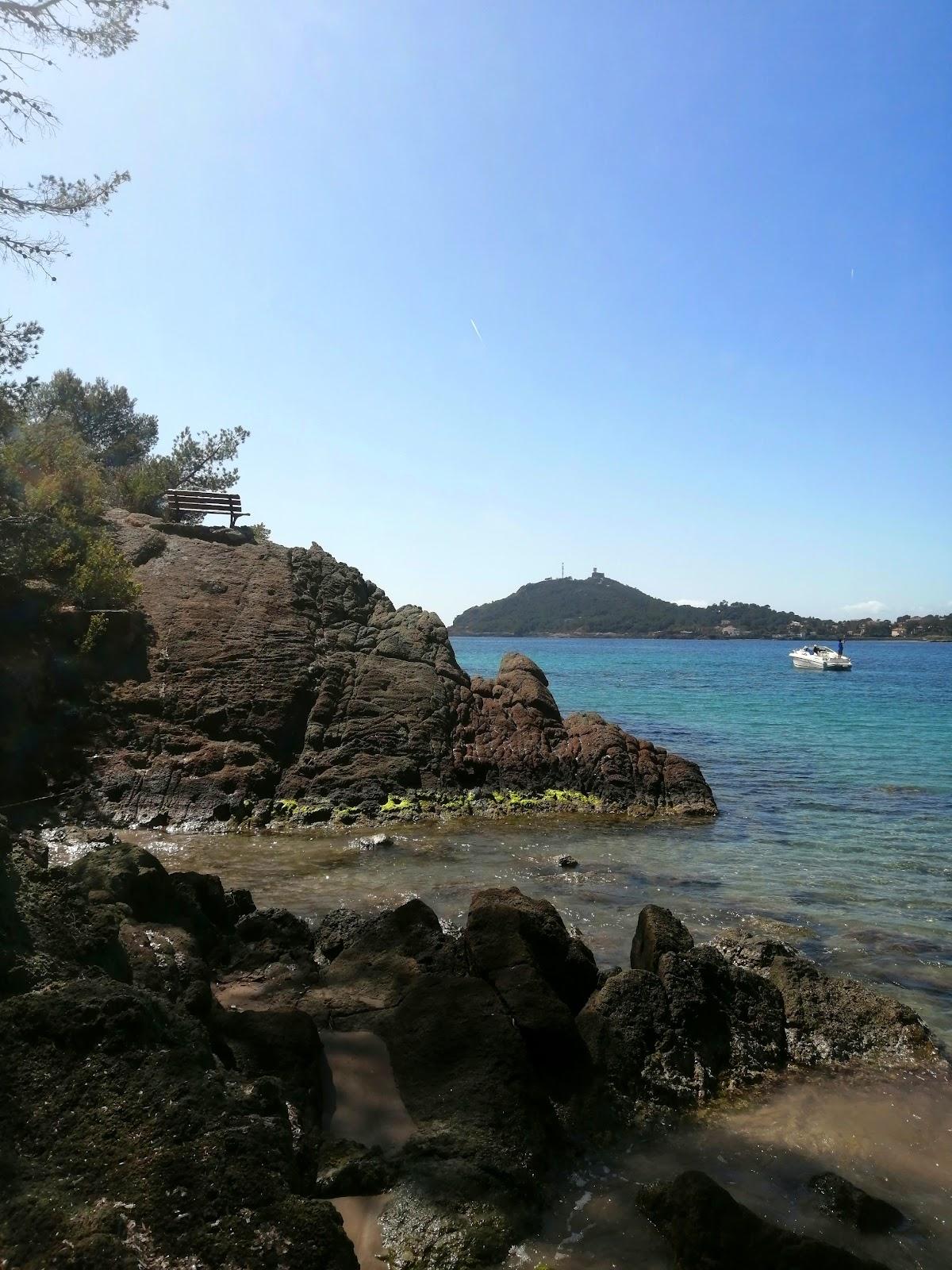 Sandee Plage De La Crique Brieux Photo