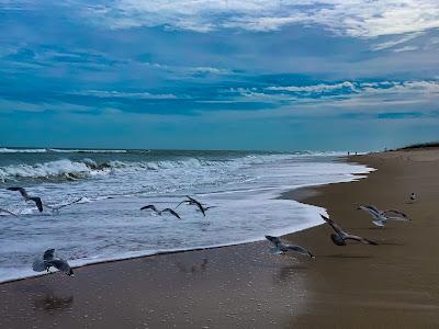 Sandee - Playalinda Beach