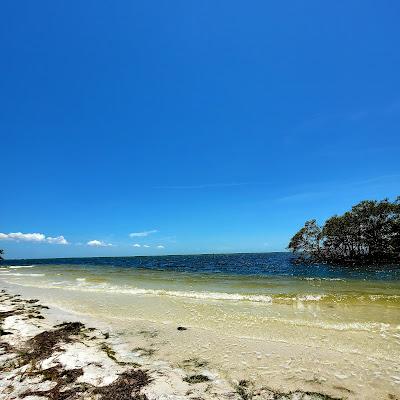 Sandee - Macdill Beach