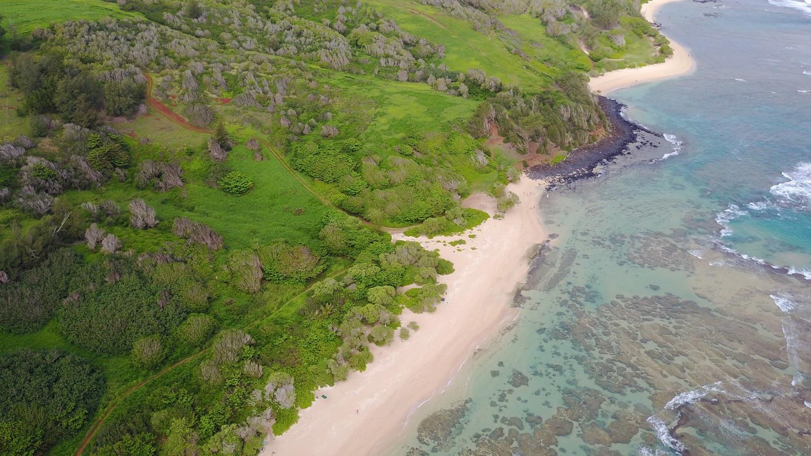 Sandee Larsen's Beach