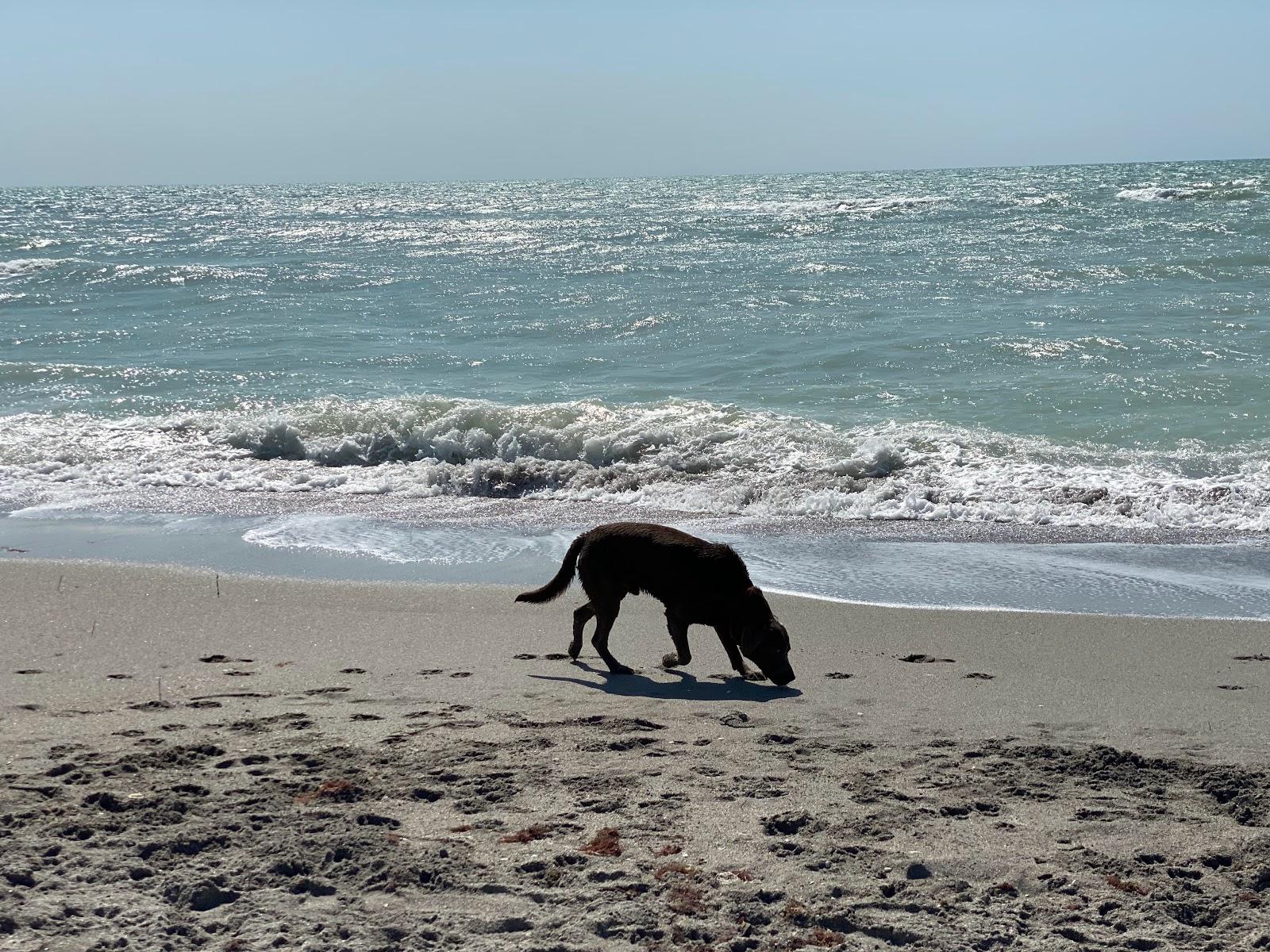 Sandee - Brohard Beach And Paw Park