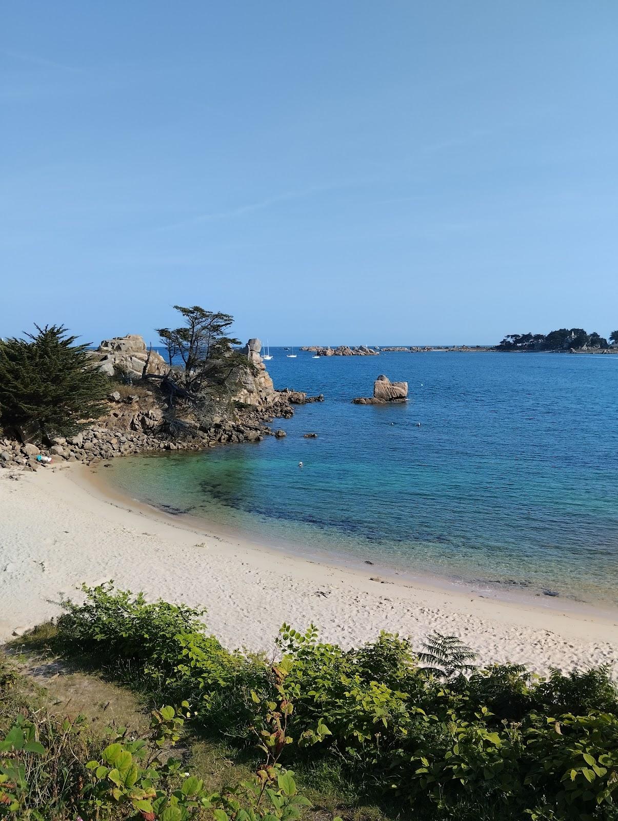 Sandee Plage La Sentinelle-Le-Voleur Photo