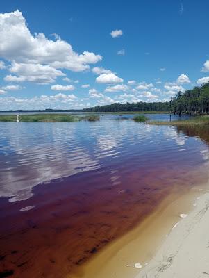 Sandee - Lake Louisa State Park Beach