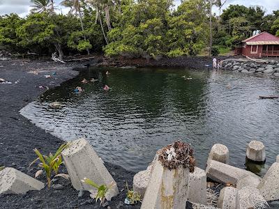 Sandee - Isaac Hale Beach Park