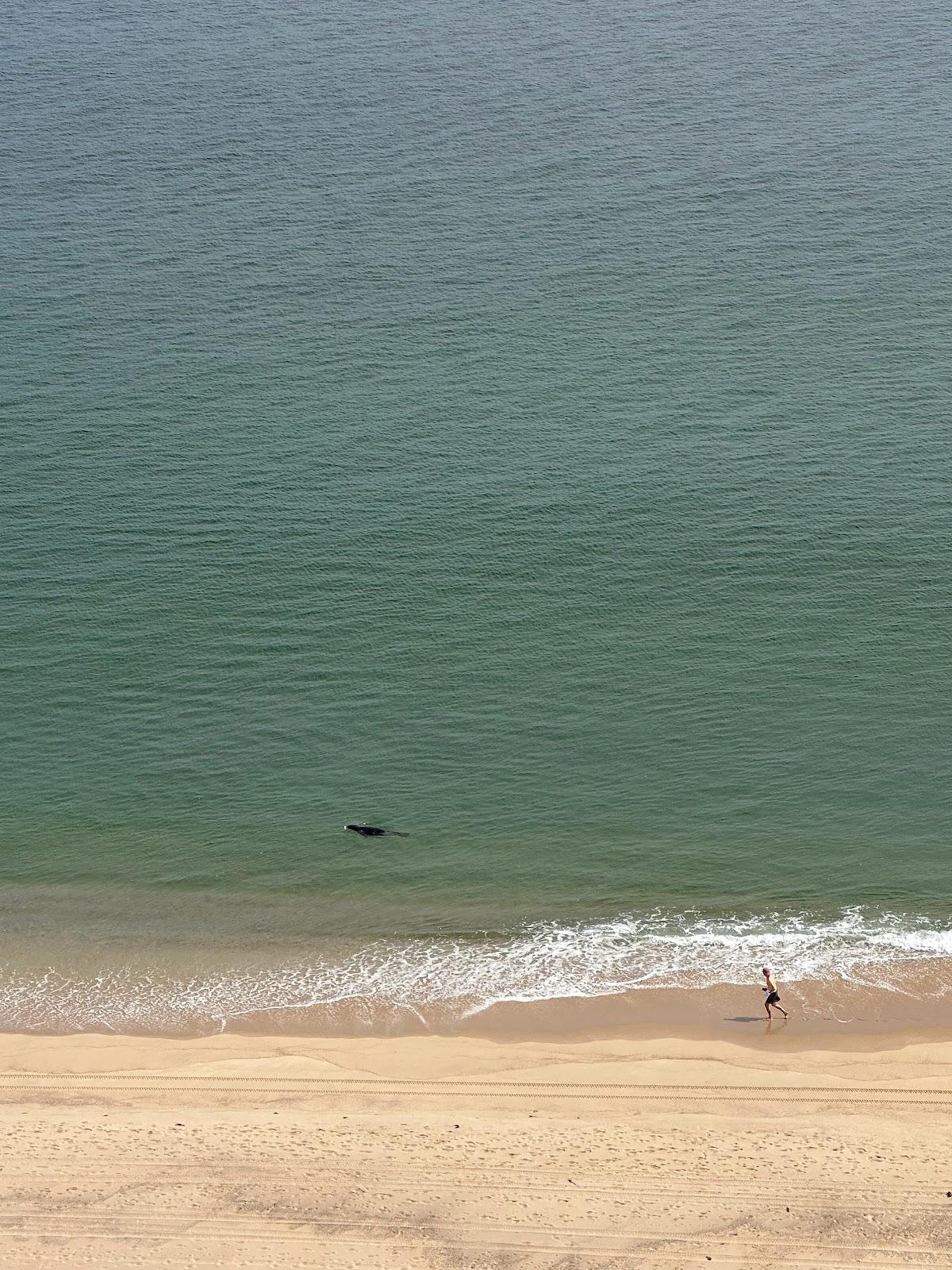 Sandee - Longnook Beach