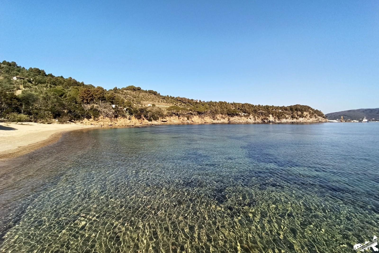 Sandee Spiaggia Di Galenzana