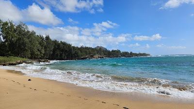 Sandee - Kawailoa Beach