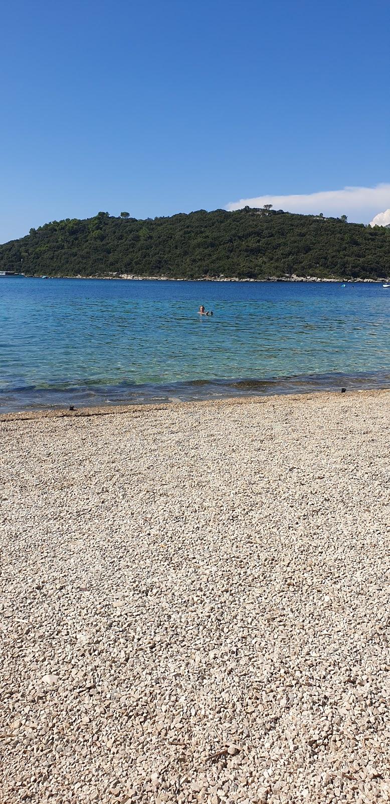 Sandee Beach Vela Vrbovica
