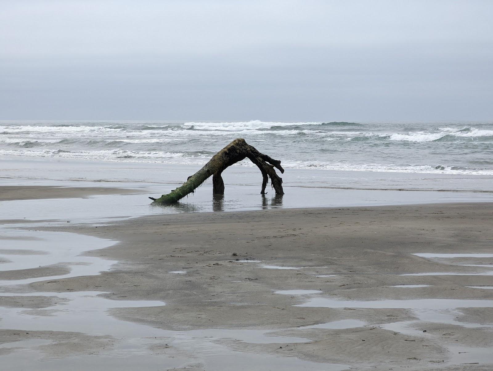 Sandee - Neskowin Beach State Recreation Site