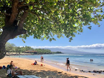 Sandee - Ohai'Ula Beach