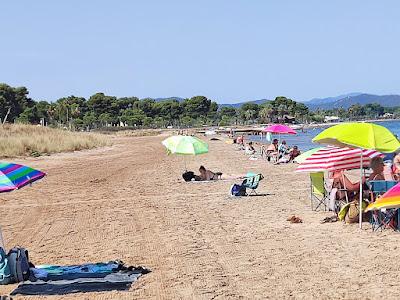 Sandee - Plage De Monteau
