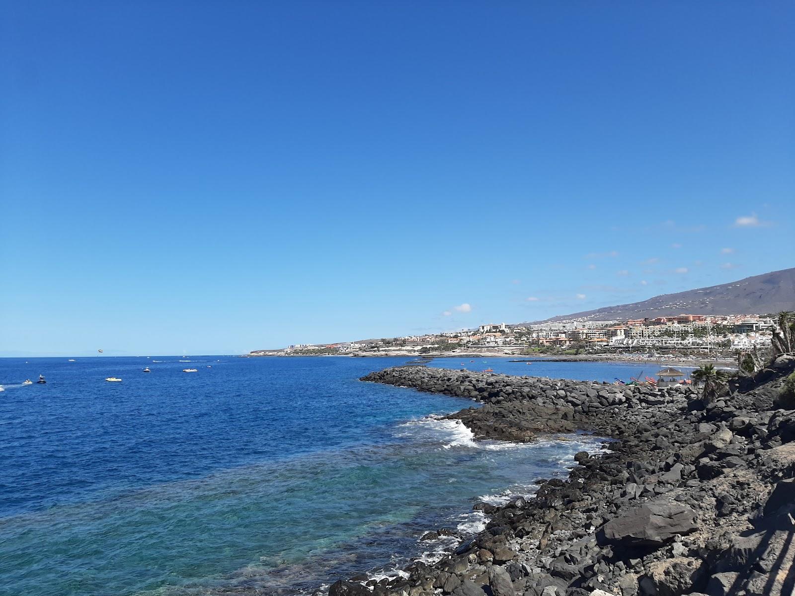 Sandee - Playa Torviscas