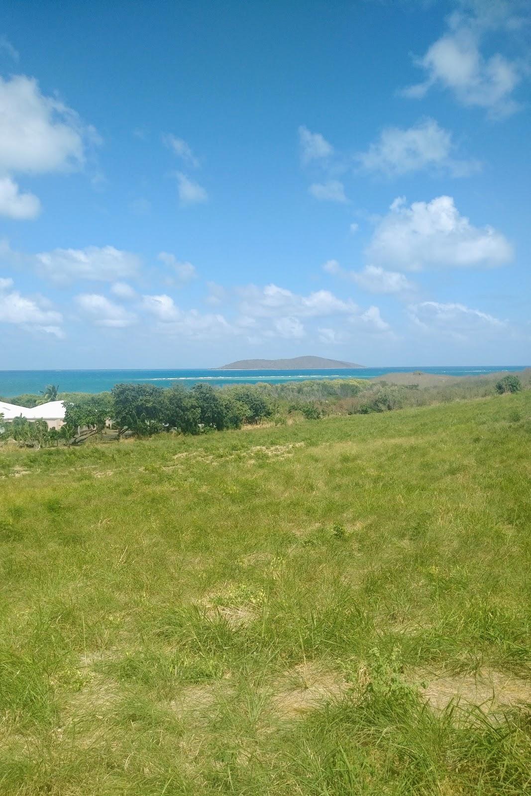 Sandee Green Cay Beach Photo