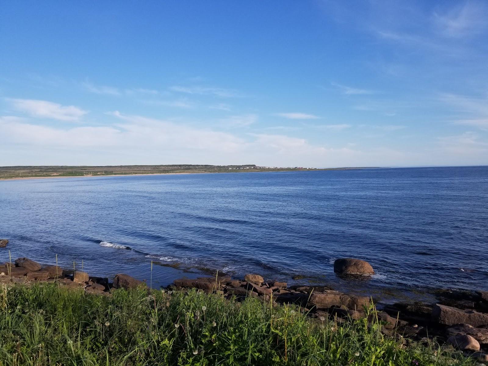 Sandee Bird Sanctuary Bradore The Bay