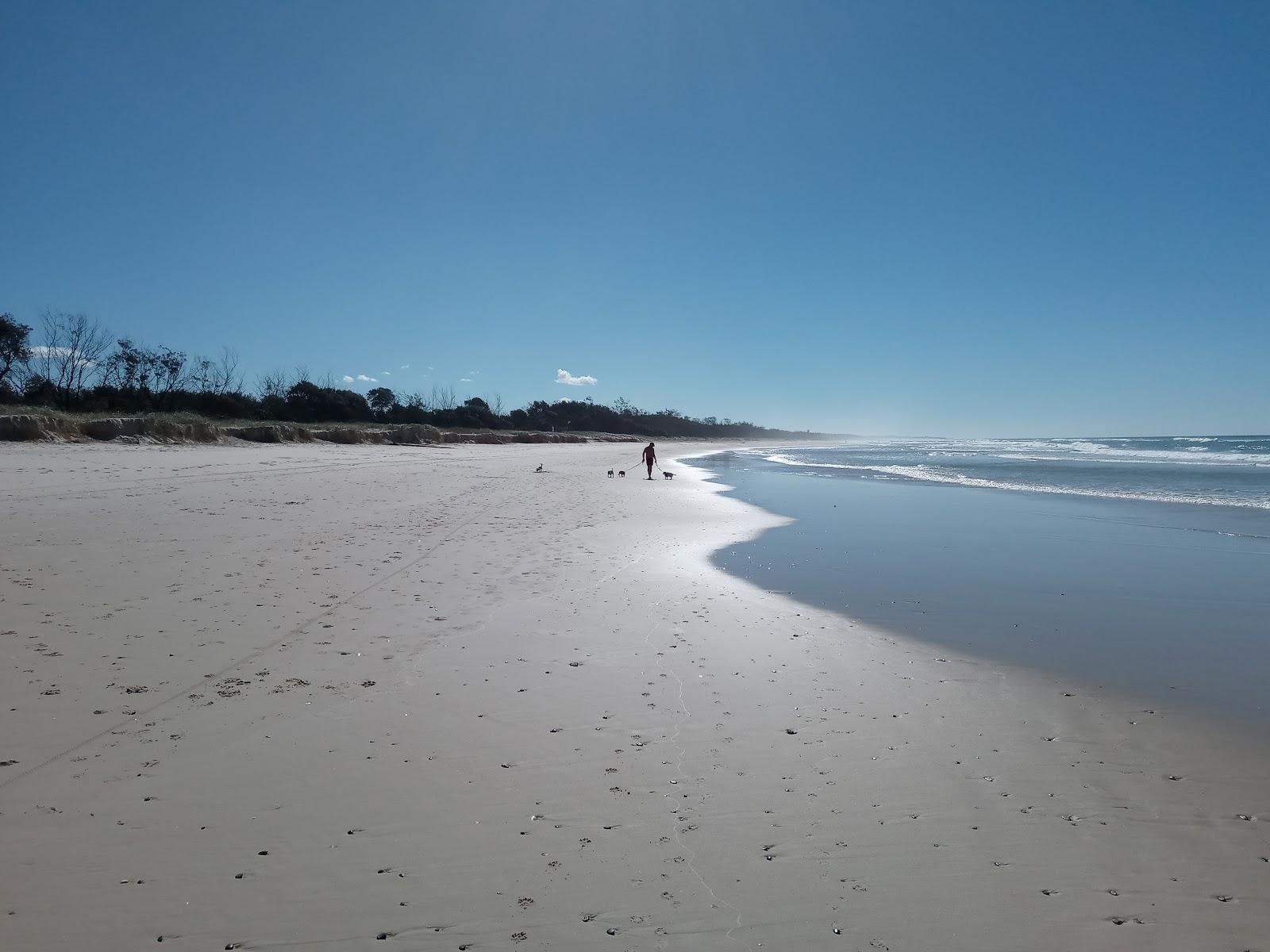 Sandee Pottsville Beach Photo