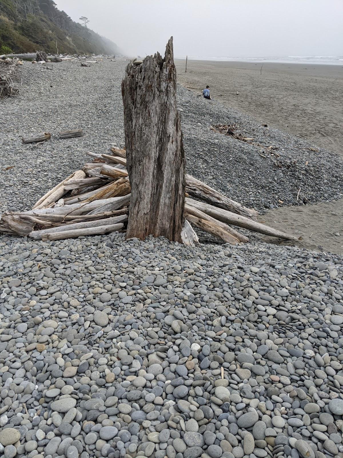 Sandee - Beach 2, Olympic National Park