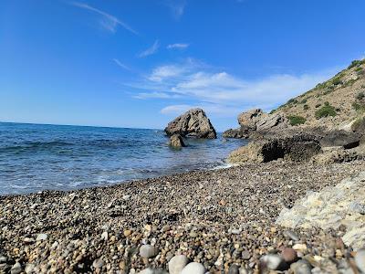 Sandee - Spiaggia - Ombelico Di Venere