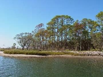 Sandee Turkey Point Photo