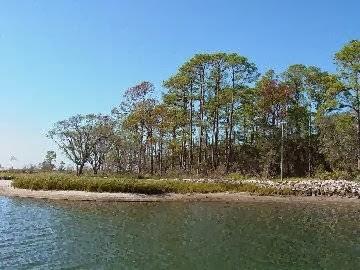 Sandee - Turkey Point