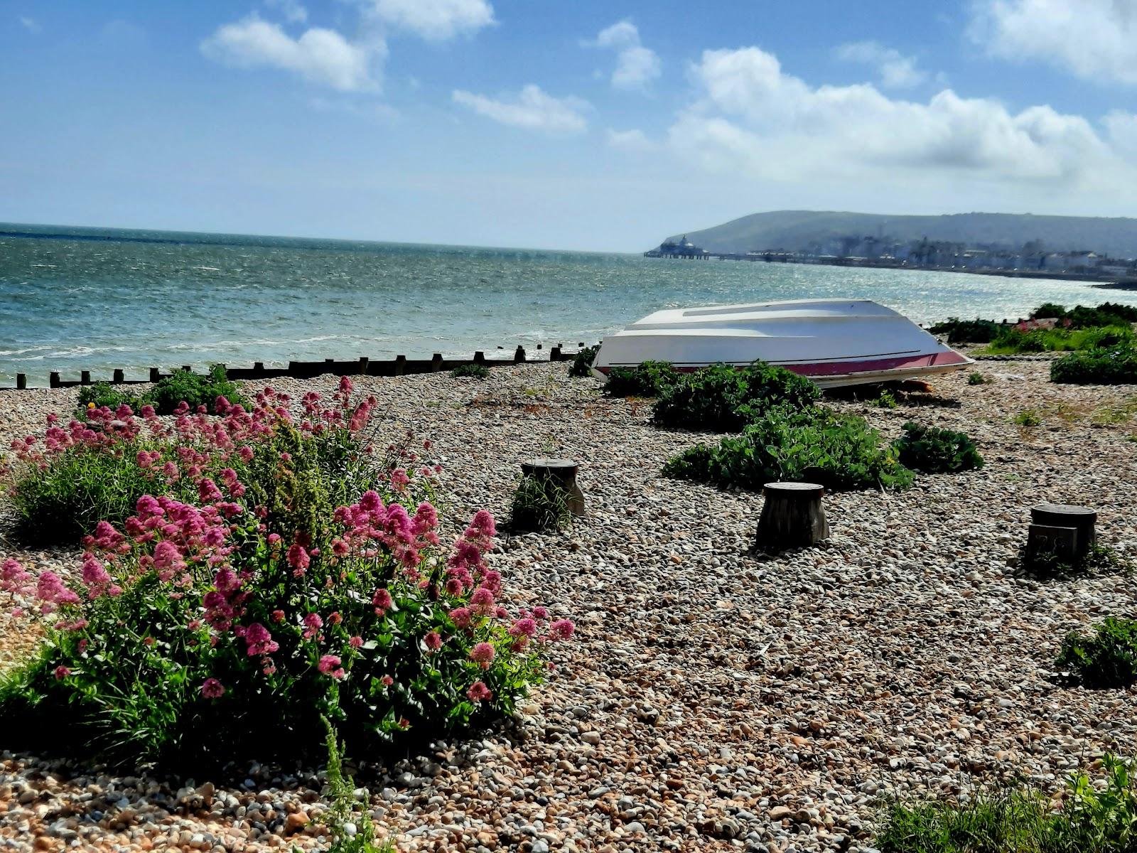 Sandee Lumpit's Beach Photo