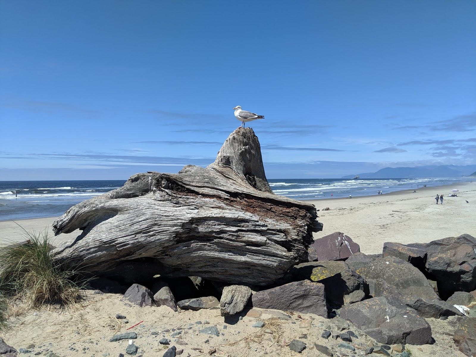 Sandee - Barview Jetty Park