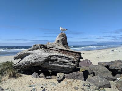 Sandee - Barview Jetty Park