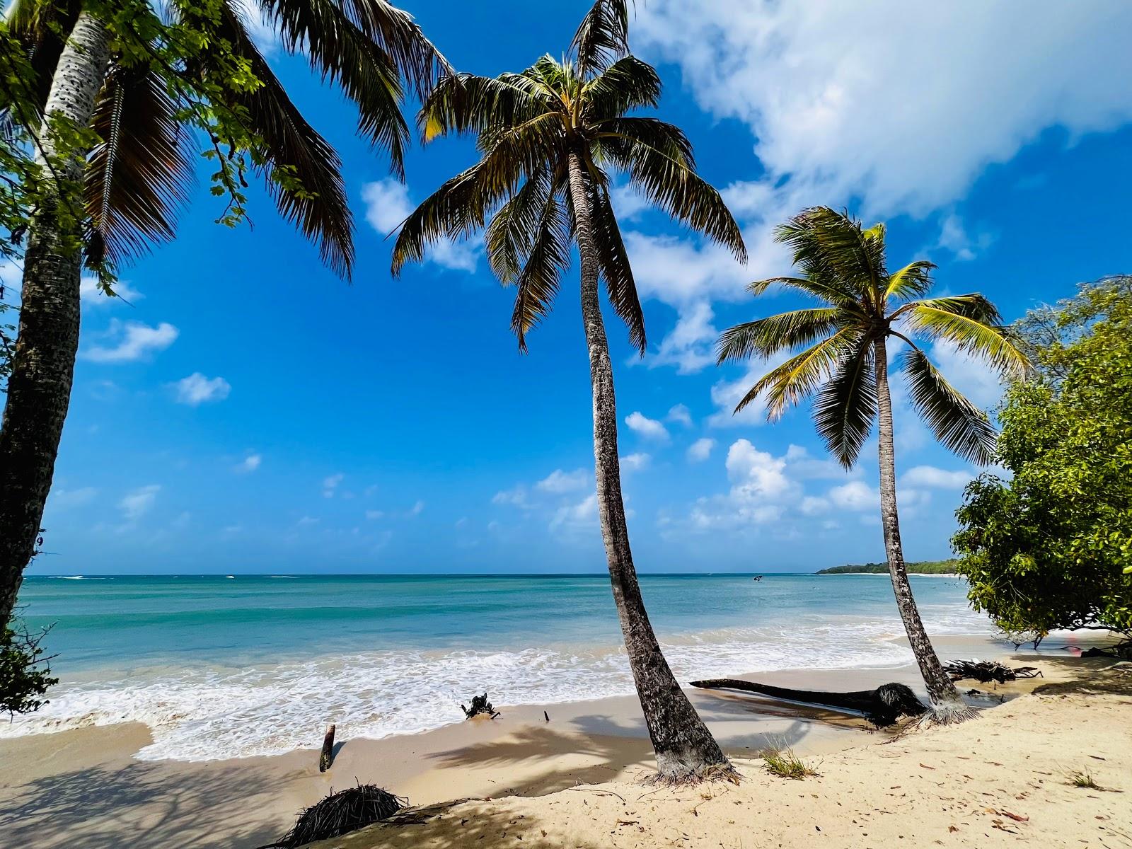 Sandee - Plage Des Salines