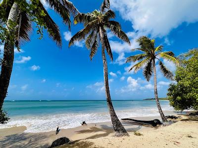 Sandee - Plage Des Salines