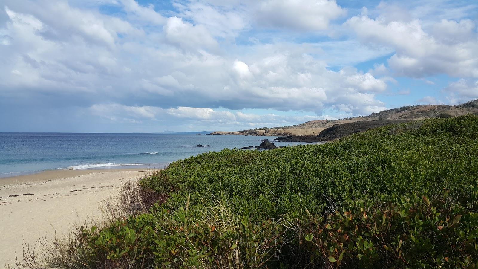 Sandee Cressy Beach