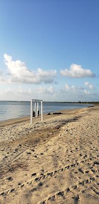 Sandee - Costa Palmera Beach