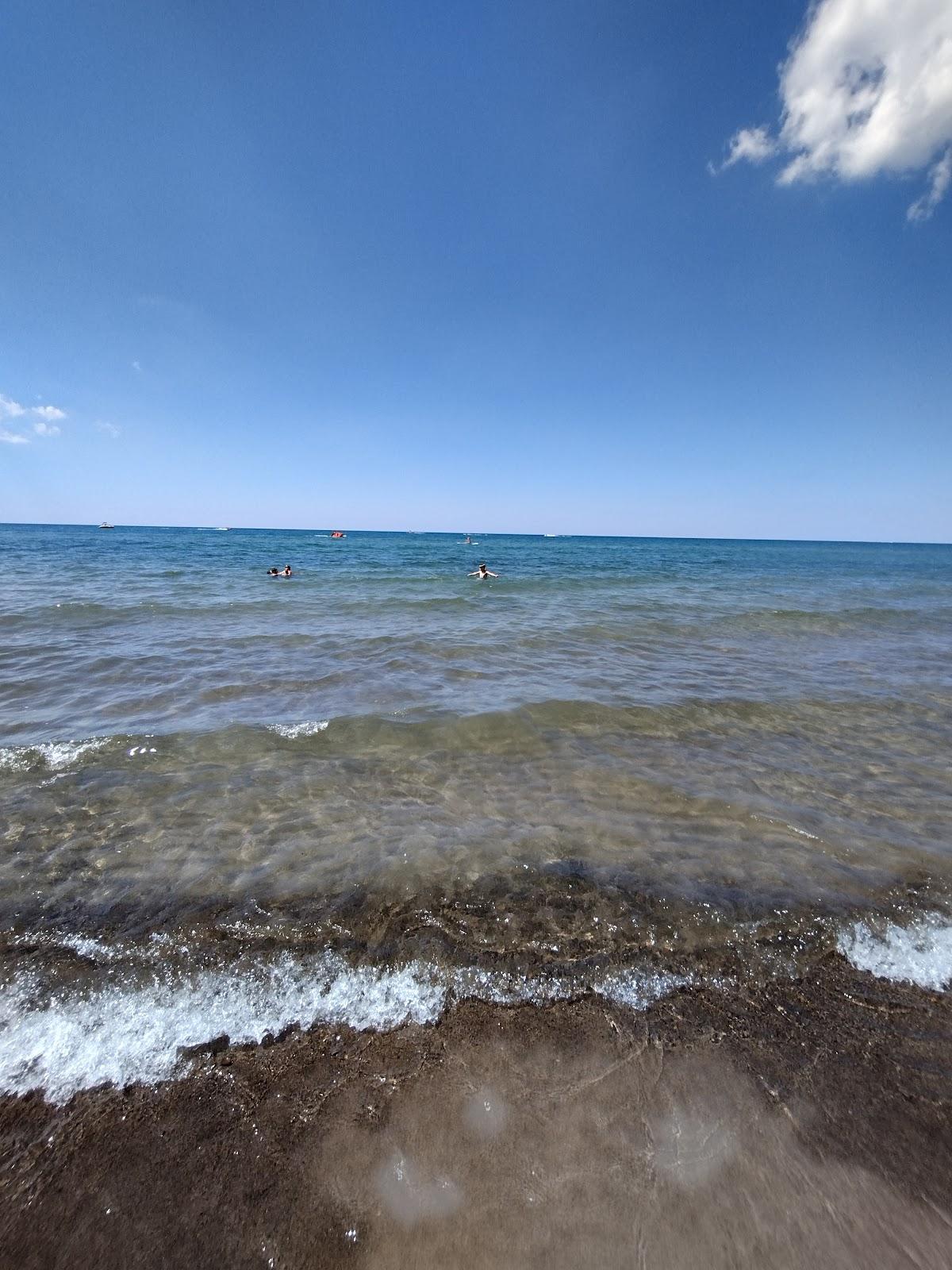 Sandee Public Shoreline Beach Fishdam River Photo