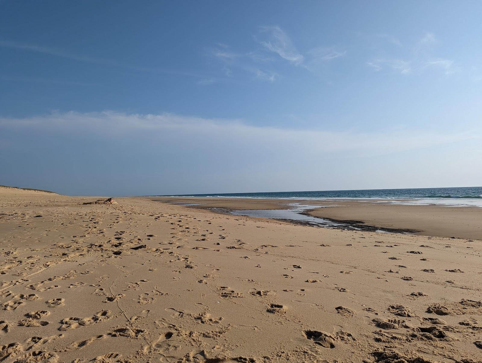 Sandee Beach Dunes