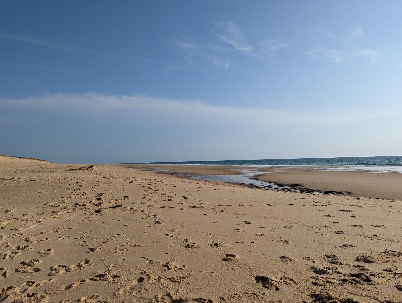 Sandee Beach Dunes Photo