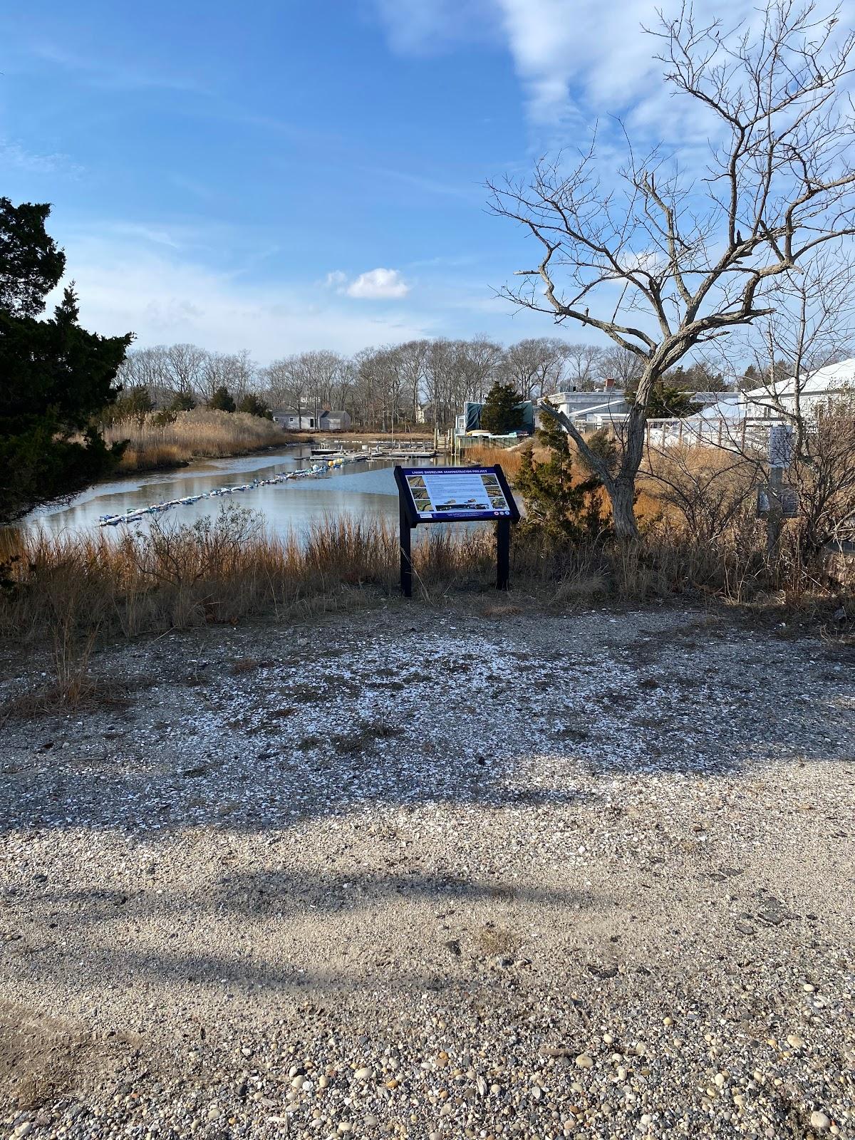 Sandee Cornell Cooperative Extension Marine Center Photo