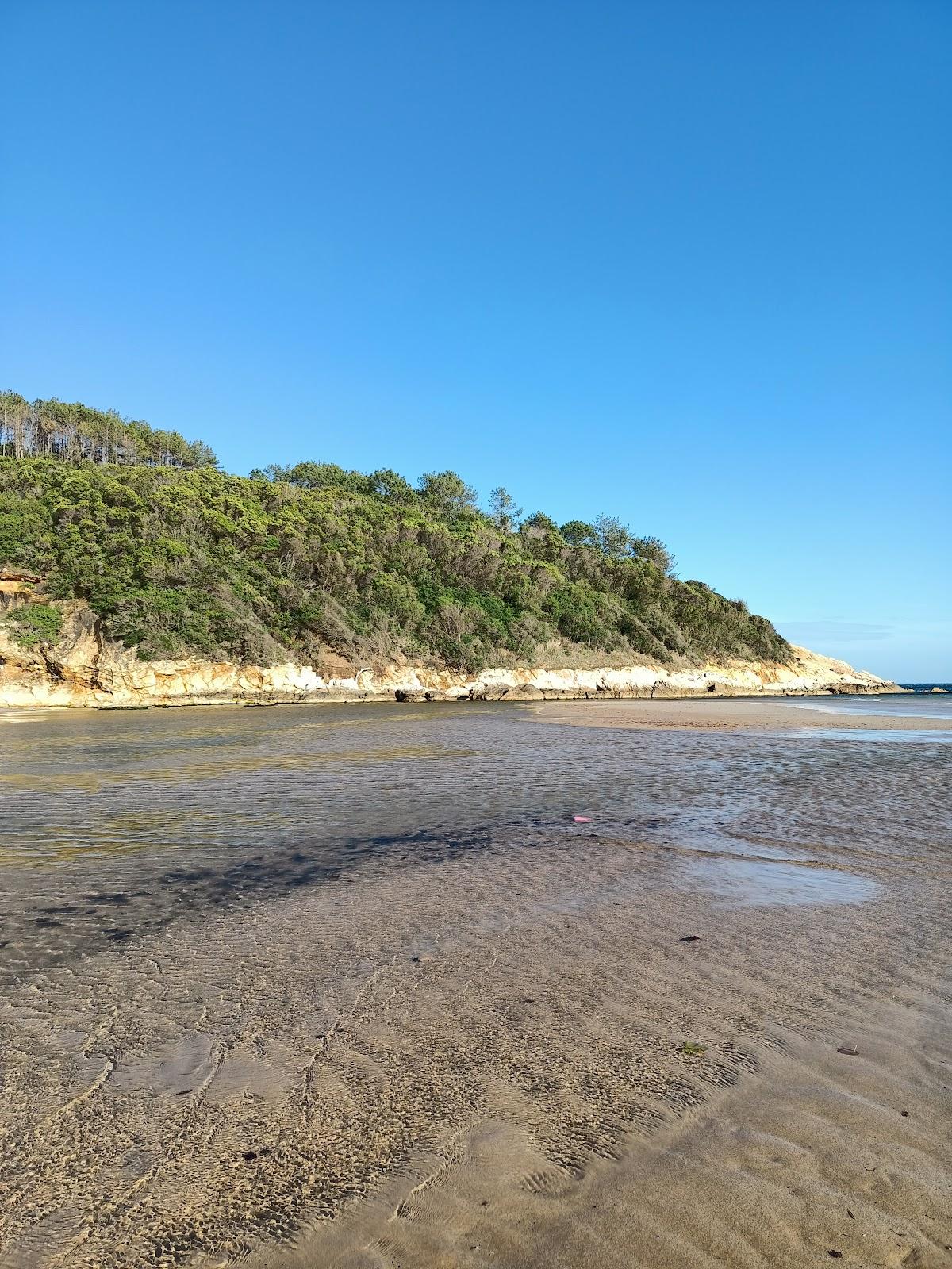 Sandee - Camlıkoy Nature Park