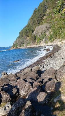 Sandee - Tairua Beach