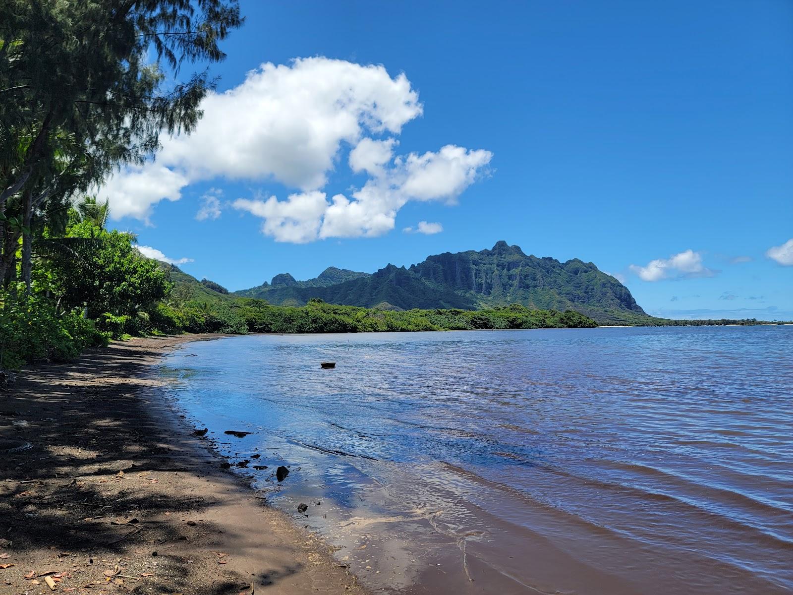 Sandee - Waiahole Beach Park