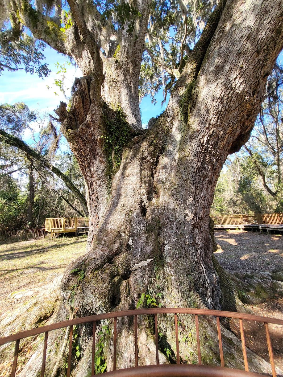 Sandee Village Point Park Preserve