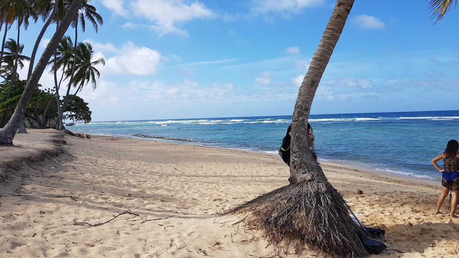 Sandee El Calento De Dario Beach Photo