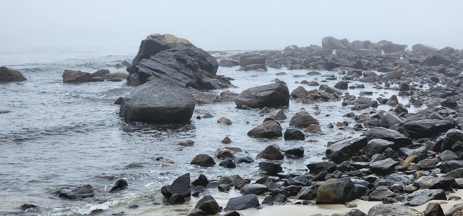 Sandee Lynch Park Beach Photo