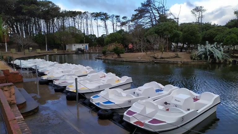 Sandee Lago De Los Cisnes