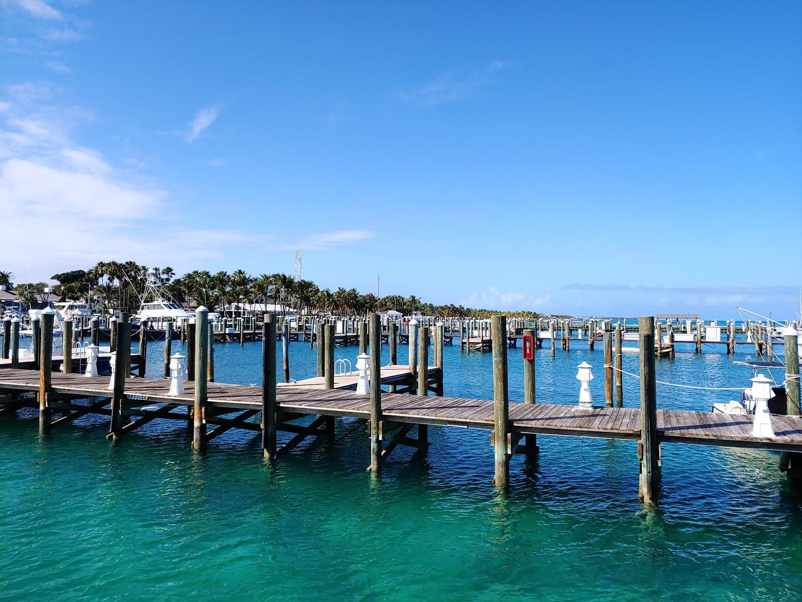 Sandee - North Cat Cay Beach