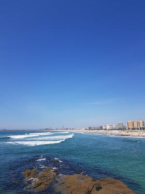 Sandee - Matosinhos Beach