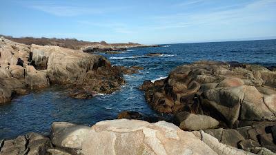 Sandee - Biddeford Pool Beach