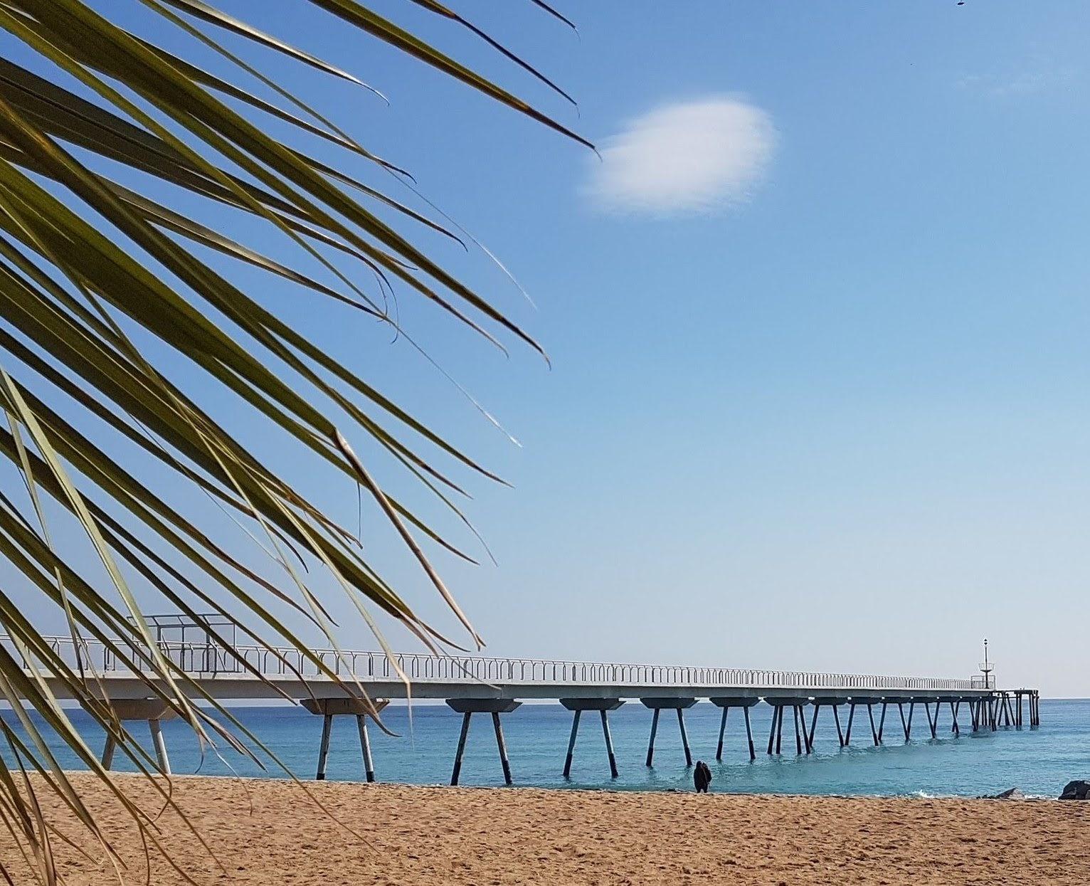 Sandee - Platja Del Pont De Petroli