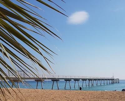 Sandee - Platja Del Pont De Petroli